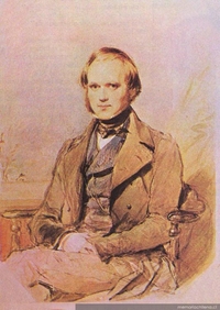 Charles Darwin
Fotografía memoriachilena.gob.cl
